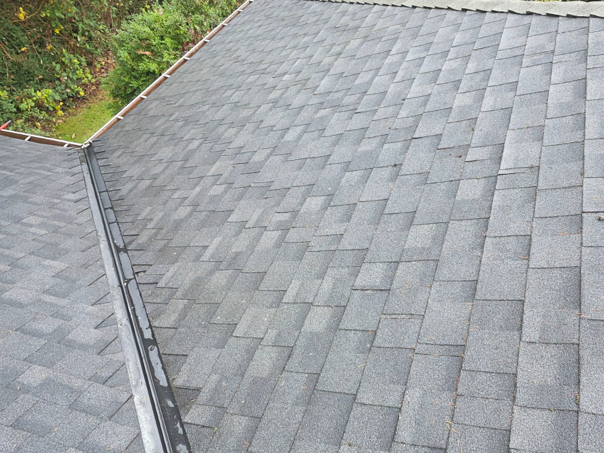 Clean asphalt shingle roof after professional roof cleaning in Richmond, BC.