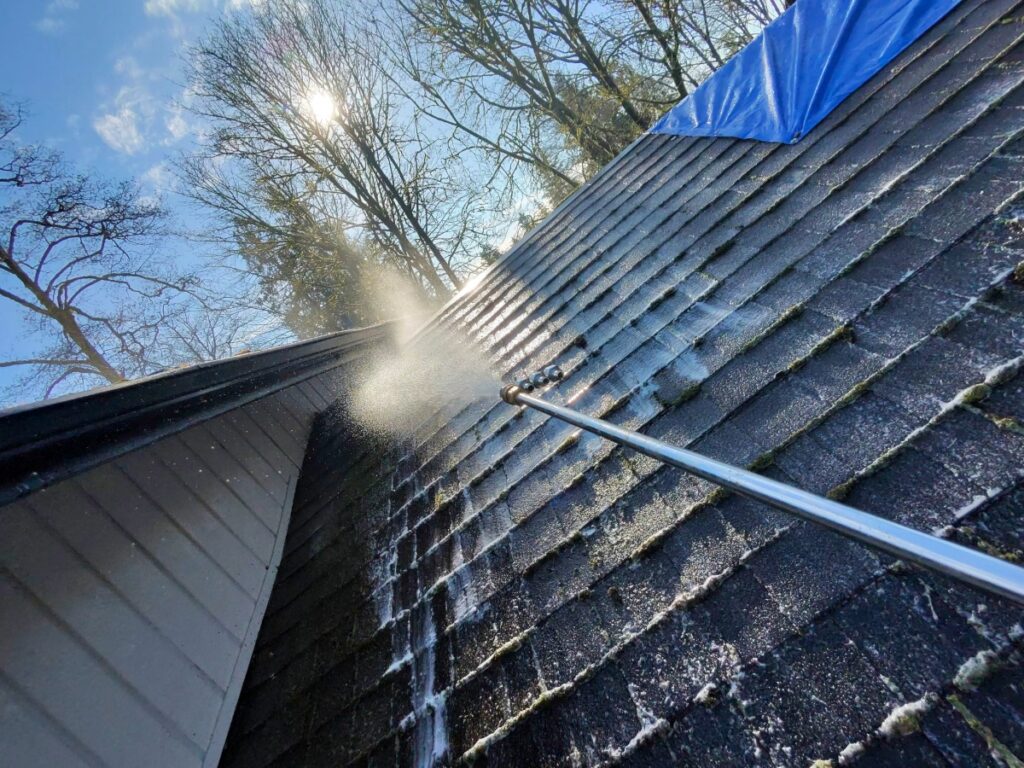 Soft washing a residential roof using low-pressure surfactant in North Vancouver, BC.